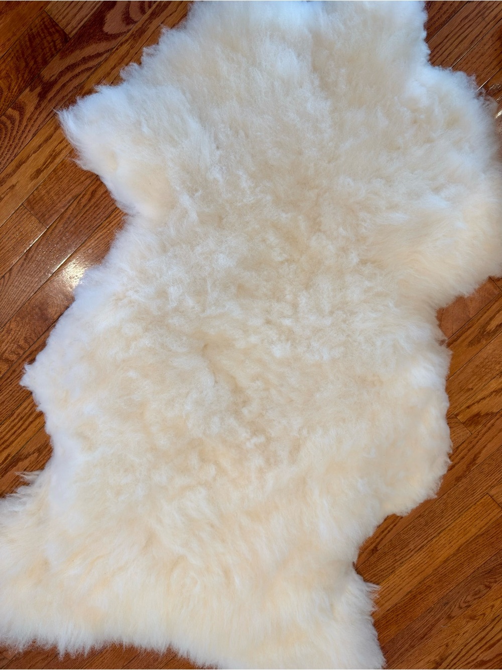 Authentic 100% Sheepskin Rug